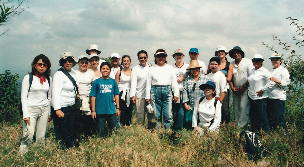 Las abejas atacan (análisis)