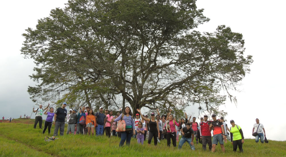 Caminatas Ecológicas para Empresa, bienestar para sus colaboradores