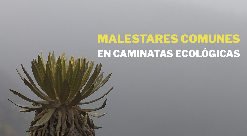 Malestares comunes en caminatas ecológicas, tips de tratamiento y prevención