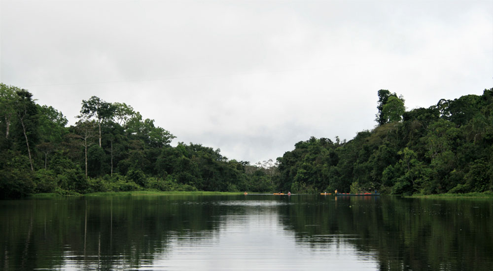 Reserva Natural Marasha, última parada en Amazonas
