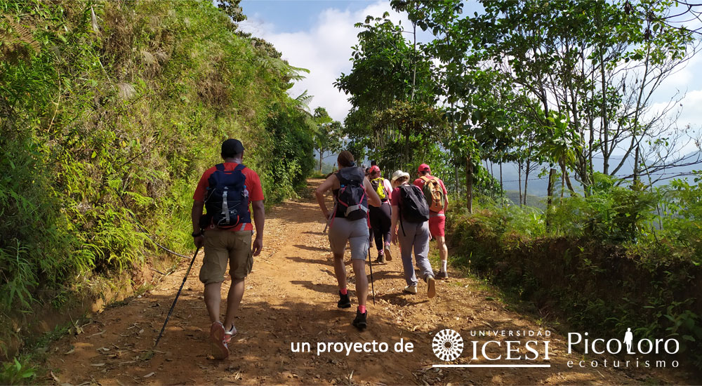 ¿Quiénes caminan por las montañas de Colombia?