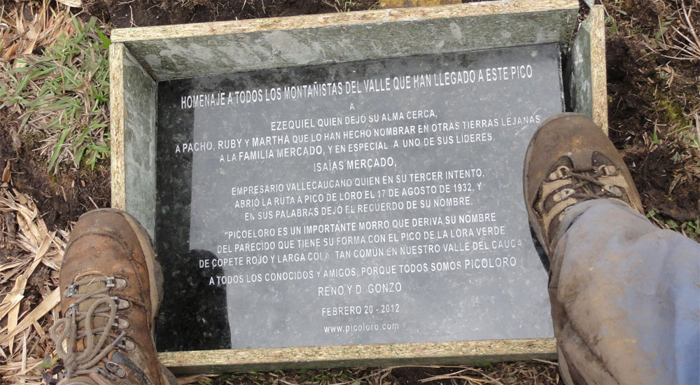 Placa conmemorativa Pico de Loro
