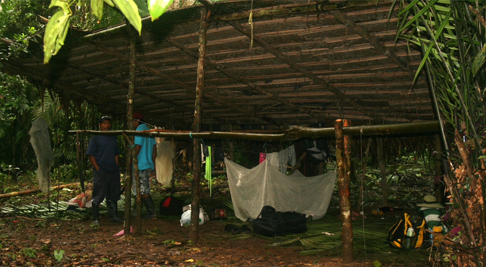 Acampando en la selva amazónica